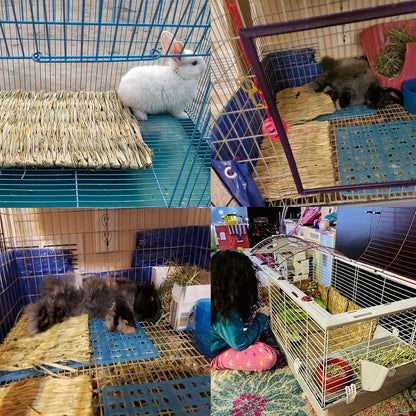 PINVNBY 6 Pack Rabbit Grass Mat,Bunny Natural Straw Woven Bed,Small Animal Cages Hay Nest Sleeping,Chewing,Nesting and Toys for Rabbits Guinea Pig Hamster Hedgehog and Squirrel Bed Mat2