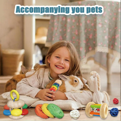 QWR 9PCS Wooden Bunny Toys,Safe Rabbit & Guinea Pigs Teeth Grinding Toy for Chinchillas, Hamsters & Small Animals - Indoor & Outdoor7