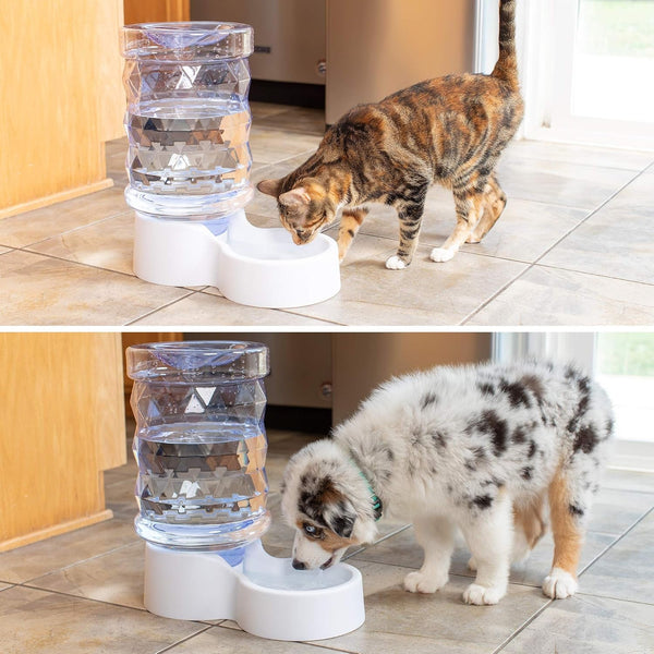Petfusion H2O Gravity Pet Water Dispenser. Durable 2.5 Gallon Waterer Feeder. Automatic Station for Cats & Small, Medium, Large Dogs, Transparent4