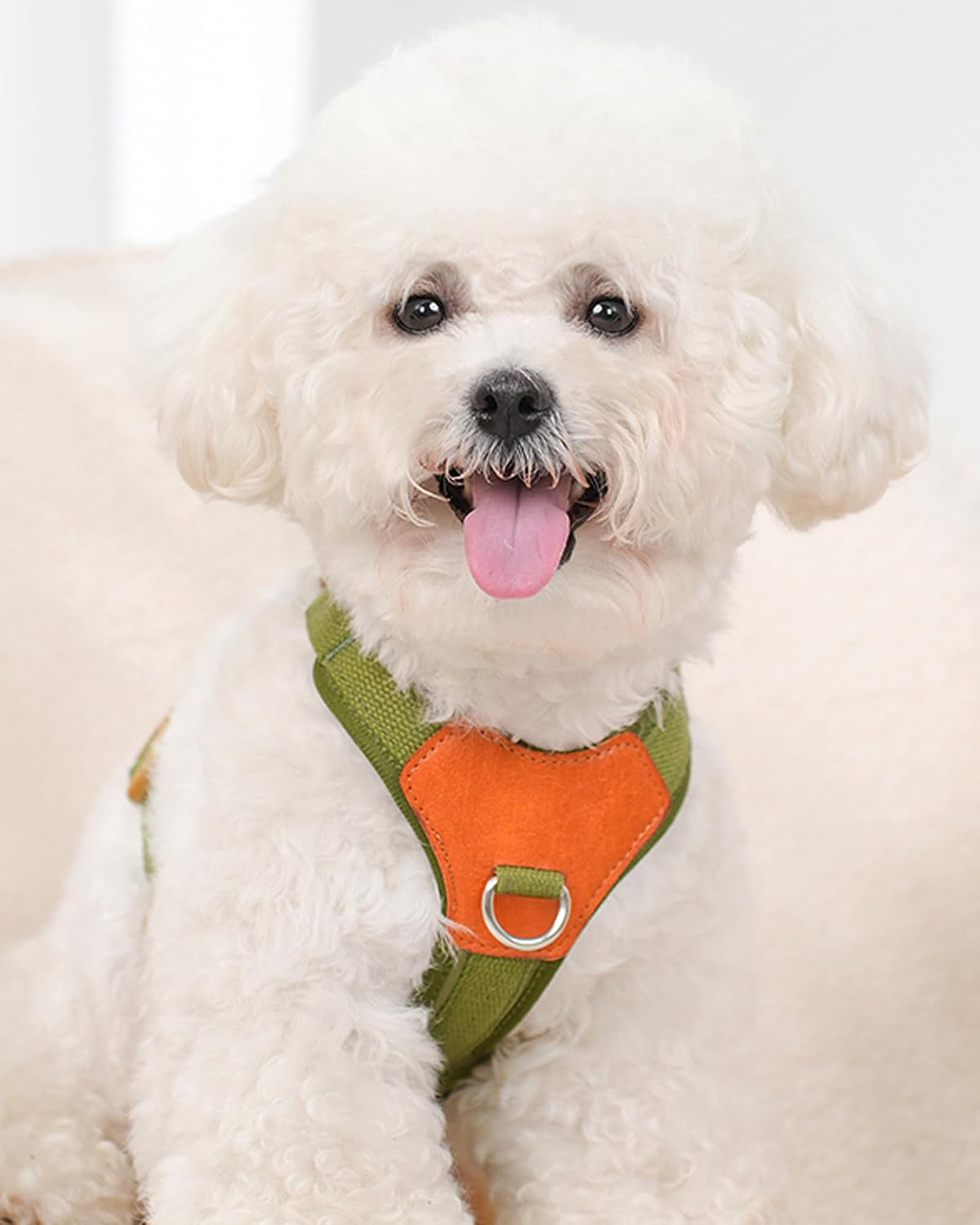 green-xs-dog-harness-for-small-dogs-no-pull-dog-harness-with-2-leash-clips-puppy-harness-dog-vest-harnessgreen-xs