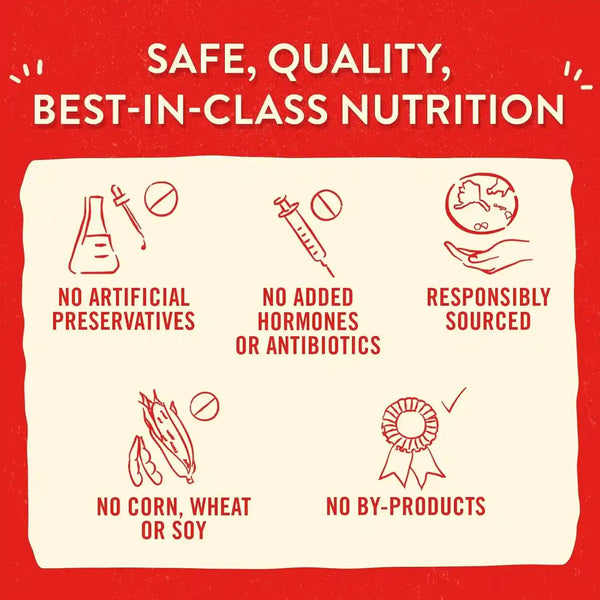 Stella & Chewy'S Freeze-Dried Raw Lil' Bites Itty Bitty Beef Recipe Small Breed Dog Food, 7 Oz. Bag (Beef)7