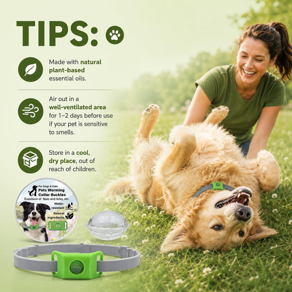 Dog Collar, Adjustable Dog Collar Holder Small Medium Large Dogs | Waterproof Dog Collar Silicone Dog Airtag Holder with 2Pcs Refills8