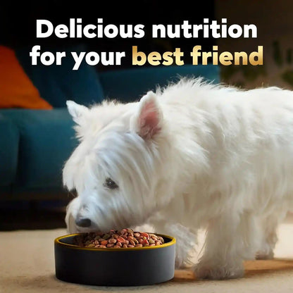 Cesar Small Breed Dry Dog Food, Filet Mignon & Spring Vegetables, 12 Lb | Made in USA, Real Beef #1 Ingredient, 26 Essential Nutrients, Supports Small Breed Health, No Artificial Flavors10