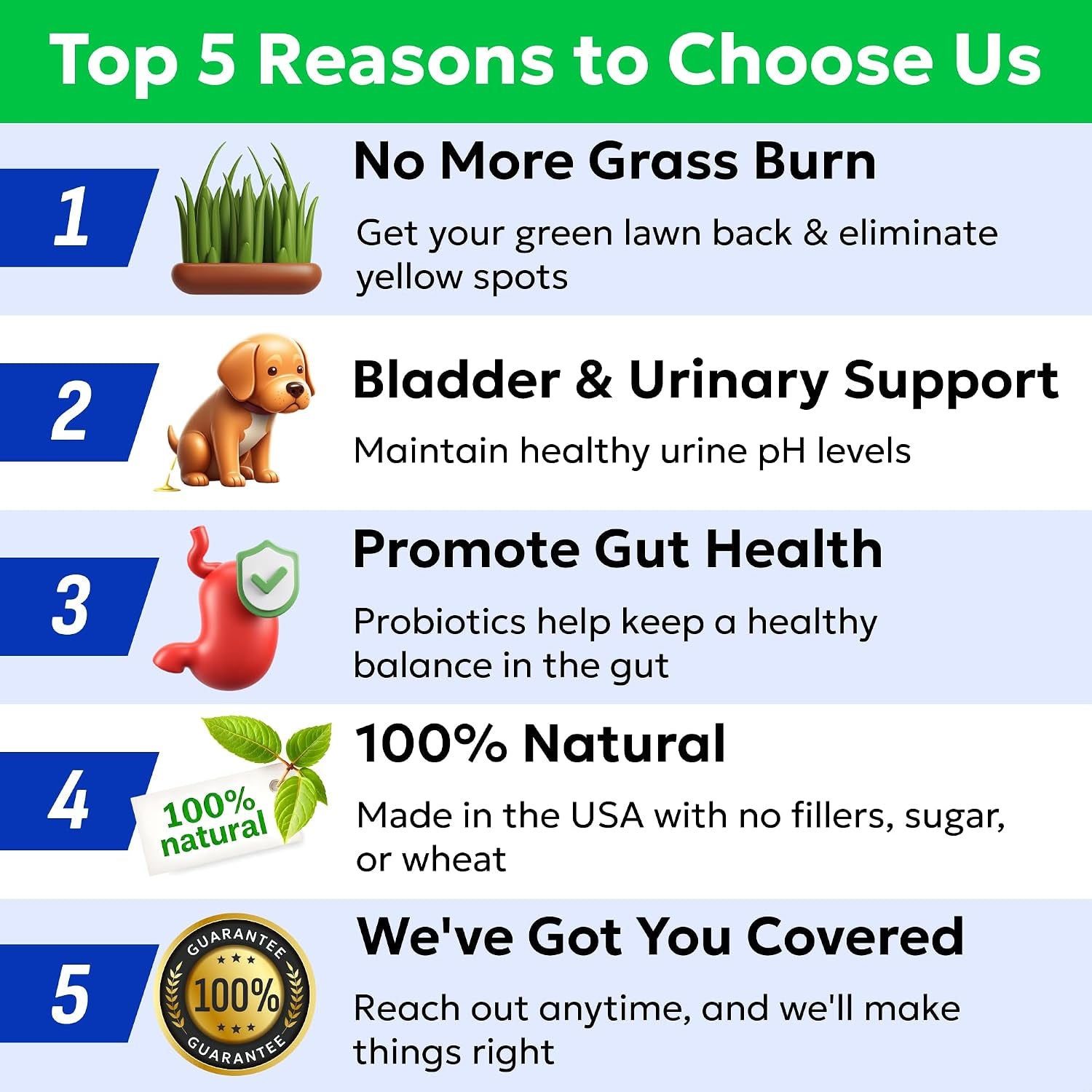 bark-spark-green-grass-dog-chews-dog-pee-grass-urine-neutralizer-lawn-grass-burn-spot-chews-with-probiotics-enzymes-helps-reduce-lawn-burn-from-dog-urine-120-soft-chews