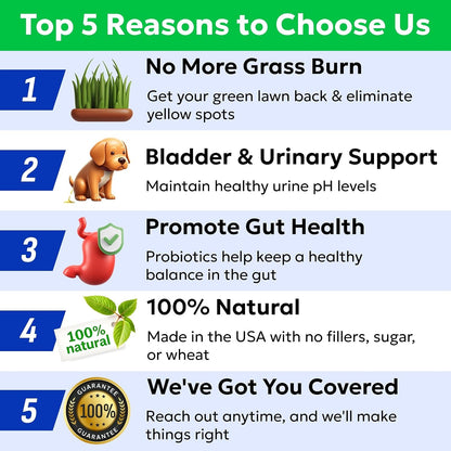 BARK&SPARK Green Grass Dog Chews – Dog Pee Grass & Urine Neutralizer Lawn | Grass Burn Spot Chews with Probiotics & Enzymes, Helps Reduce Lawn Burn from Dog Urine (120 Soft Chews)7