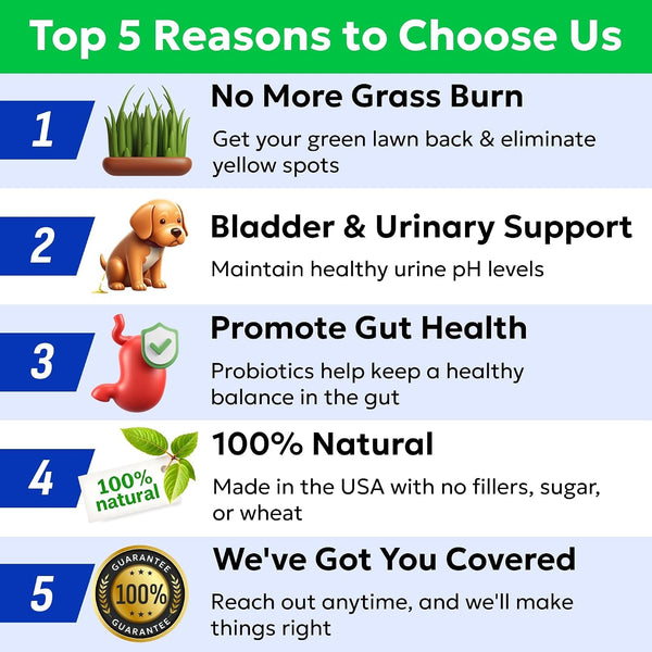 BARK&SPARK Green Grass Dog Chews – Dog Pee Grass & Urine Neutralizer Lawn | Grass Burn Spot Chews with Probiotics & Enzymes, Helps Reduce Lawn Burn from Dog Urine (120 Soft Chews)7
