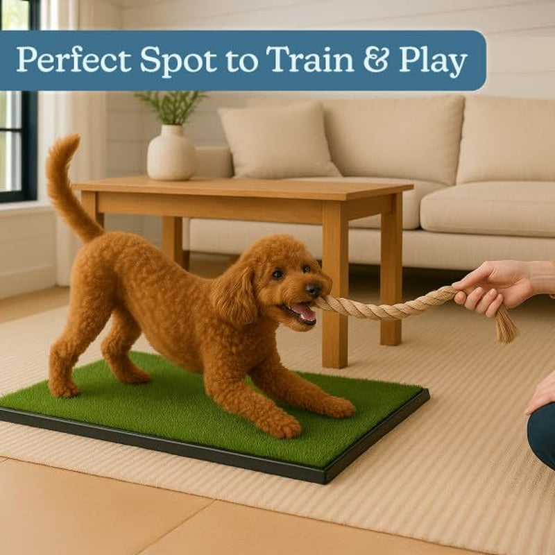 petmaker-artificial-grass-puppy-pee-pad-for-dogs-and-small-pets-16-x-20-reusable-3-layer-turf-pads-for-dogs-with-tray-indoor-and-outdoor-fake-grass-potty-pet-supplies