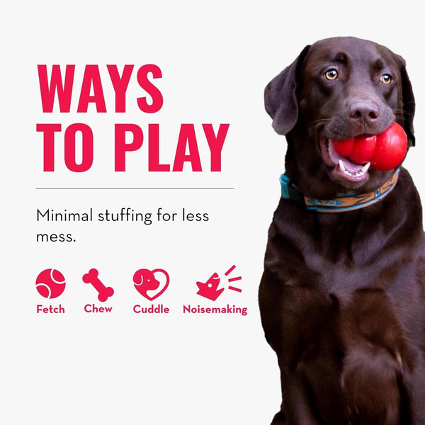 KONG Wild Knots Bears - Durable Dog Toys with Internal Knotted Ropes and Minimal Stuffing for Less Mess (Assorted Colors) (Medium/Large)5