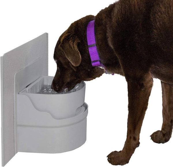 Perpetual Well Automatic Pet Water Bowl (Wall Mount)1