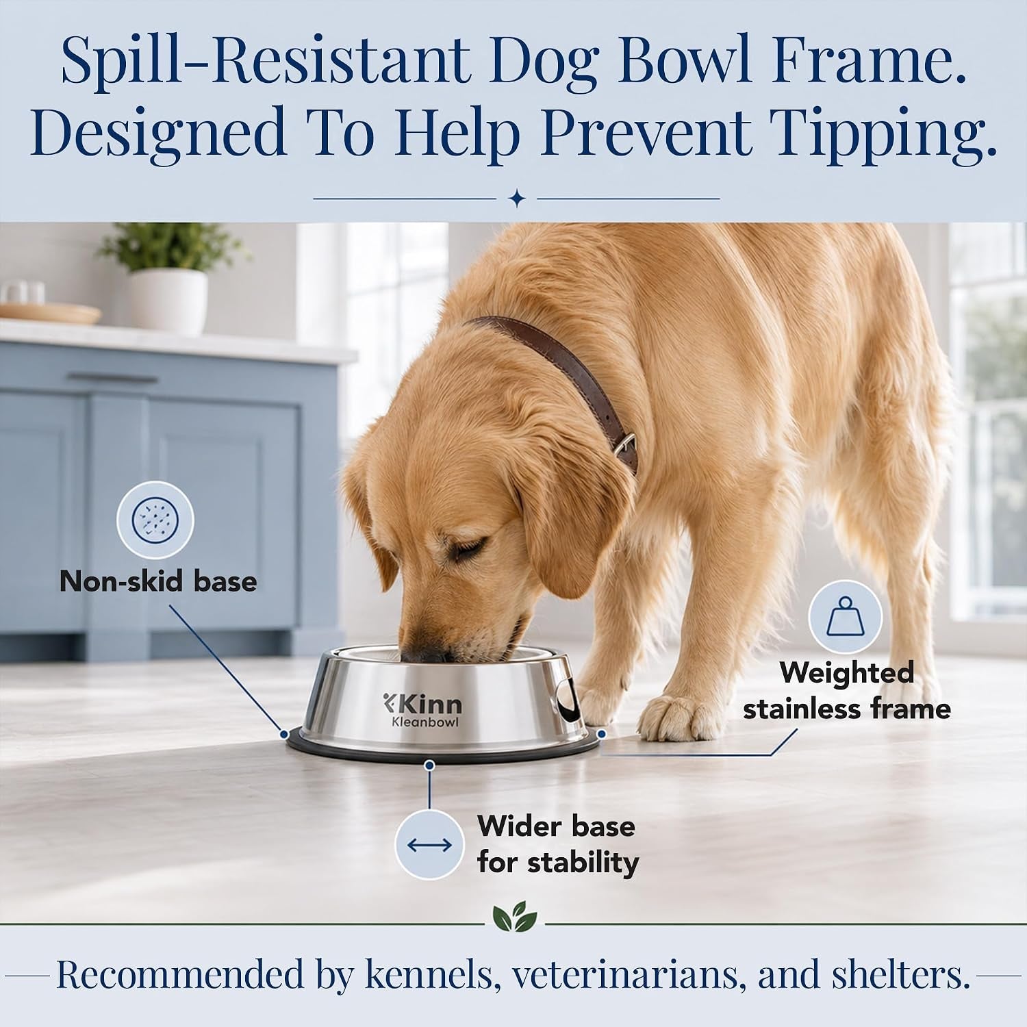 kinn-kleanbowl-pet-bowl-stainless-steel-frame-8-oz-pack-of-1-compostable-refills-spill-proof-stable-disposable-easy-cleaning-no-plastic