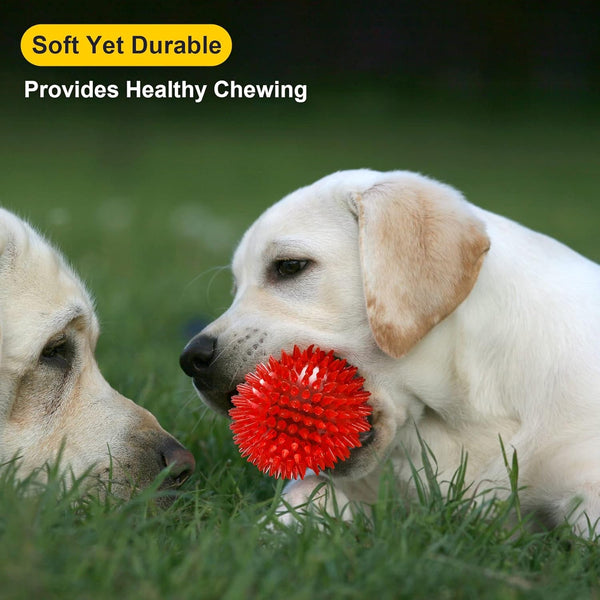 VITEVER 3.5” Squeaky Dog Toy Balls (6 Colors) Puppy Chew Toys for Teething, BPA Free Non-Toxic, Spikey Dog Balls for Medium, Large & Small Dogs, Durable Toys for Aggressive Chewers5