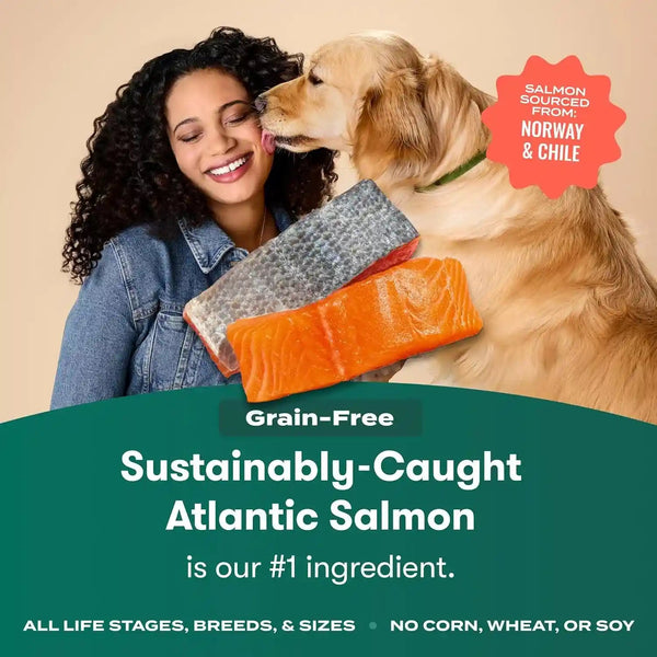 Jinx Grain Free Dry Dog Food - Real Salmon, Sweet Potato & Carrot, 4Lb | Premium Kibble for Digestive Support & Healthy Immunity - No Fillers, All Lifestages (Puppy, Adult & Senior), Breeds & Sizes2
