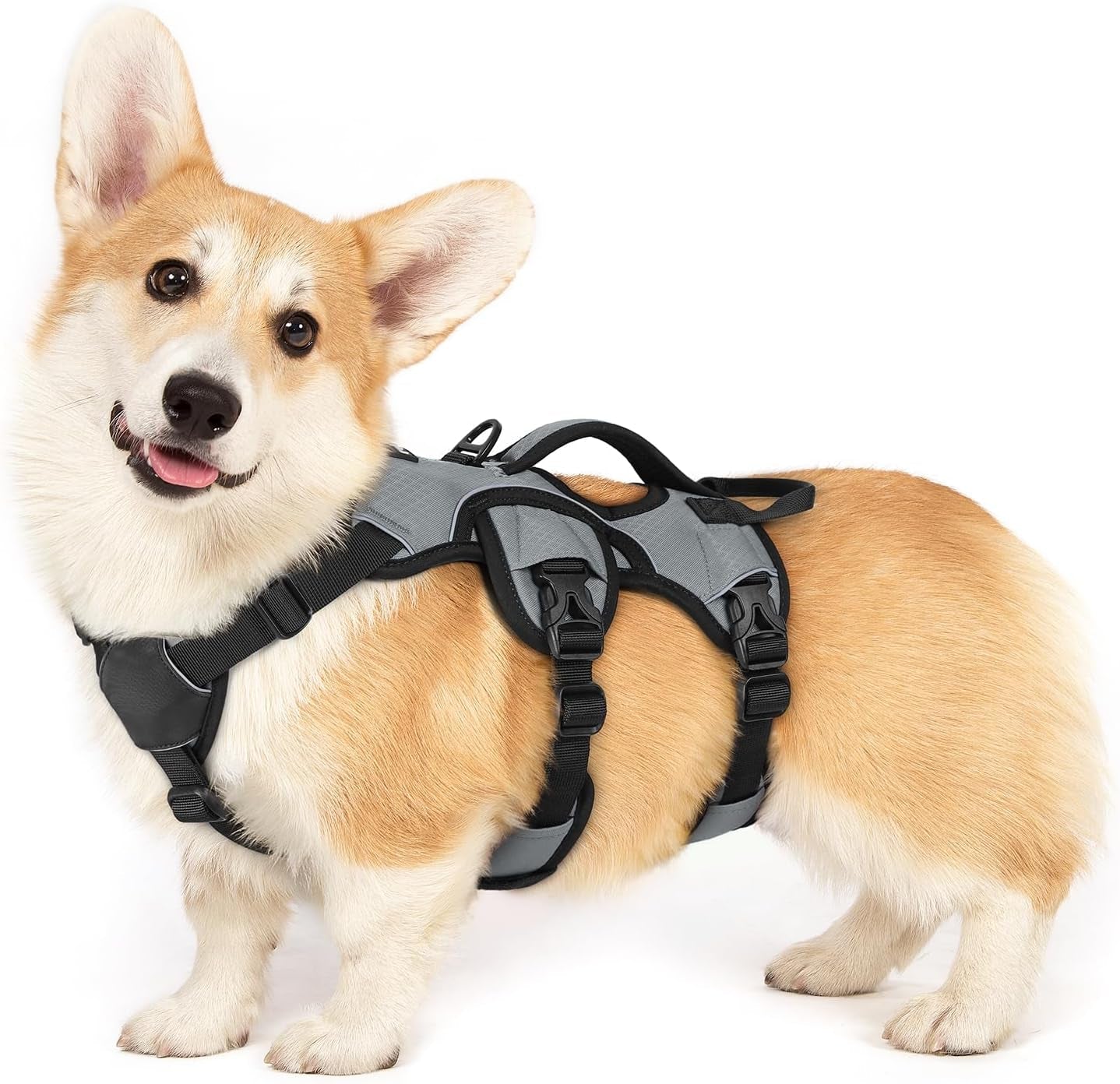 rabbitgoo-escape-proof-dog-harness-for-large-no-pull-with-lift-handle-no-escape-full-soft-padded-reflective-adjustable-vest-leash-clip-for-walking-hiking-training-black-large