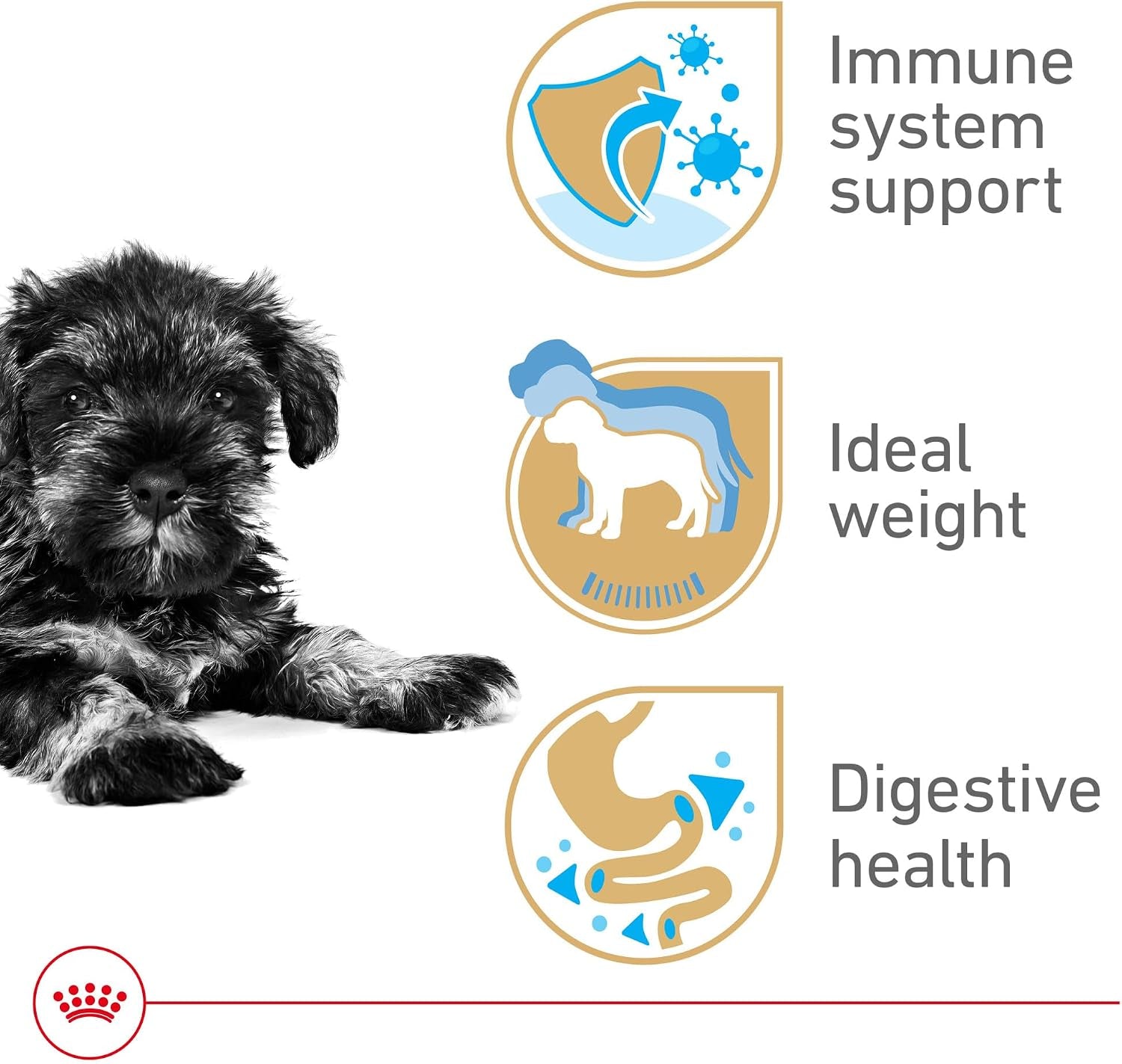 royal-canin-breed-health-nutrition-miniature-schnauzer-puppy-dry-dog-food-2-5-lb-bag