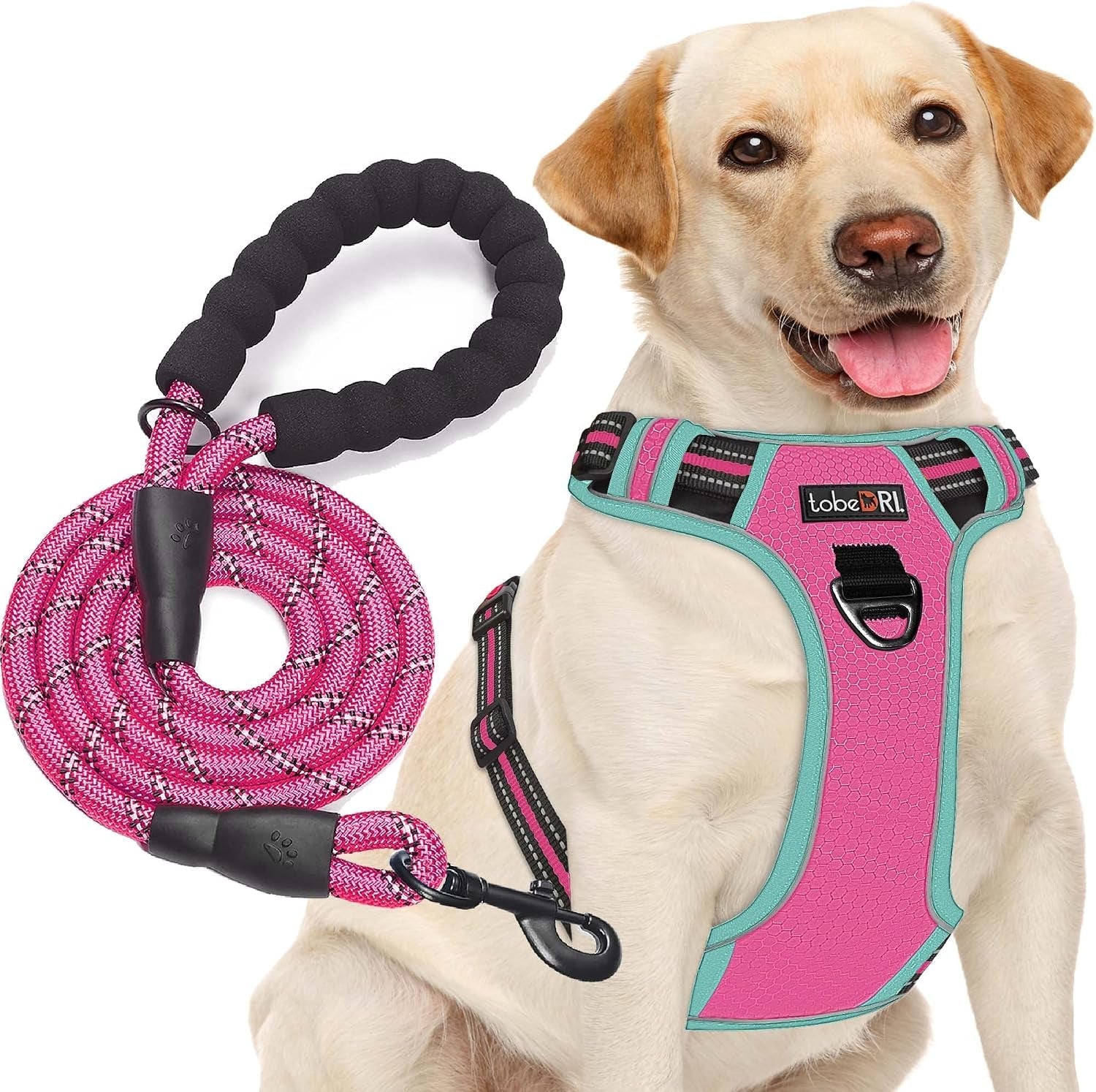tobedri-no-pull-dog-harness-adjustable-reflective-oxford-easy-control-medium-large-dog-harness-with-a-free-heavy-duty-5ft-dog-leash-blue-m