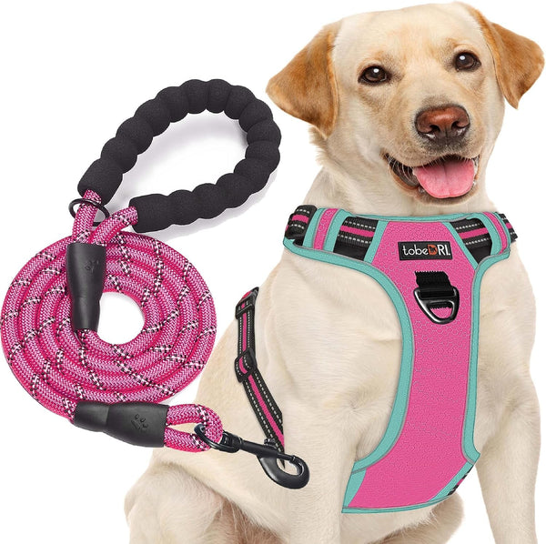 Tobedri No Pull Dog Harness Adjustable Reflective Oxford Easy Control Medium Large Dog Harness with a Free Heavy Duty 5Ft Dog Leash, Blue, M6