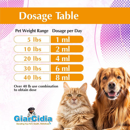 No More Worms in Cats and Dogs- Dewormer for Cats and Dewormer for Dogs - Chicken Flavour 120 Ml / 4 Oz Glass Bottle – Includes 3 Ml Dropper with Cap (Chicken Flavor)3