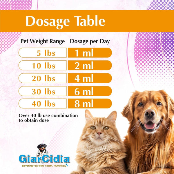 No More Worms in Cats and Dogs- Dewormer for Cats and Dewormer for Dogs - Chicken Flavour 120 Ml / 4 Oz Glass Bottle – Includes 3 Ml Dropper with Cap (Chicken Flavor)3