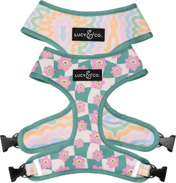 Lucy & Co. Reversible Dog Harness - Water-Repellent Neoprene, Dual-Print Design, Easy Swap Style, Adjustable Comfort Fit - Take a Bow Reversible Harness - Small27