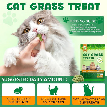 180G/6.4Oz Cat Grass Treats for Hairball Control, Natural Teeth Cleaning & Fresh Breath, Crunchy Catnip Flavored Biscuits with Barley Grass, Cat Training Rewards for All Breeds2