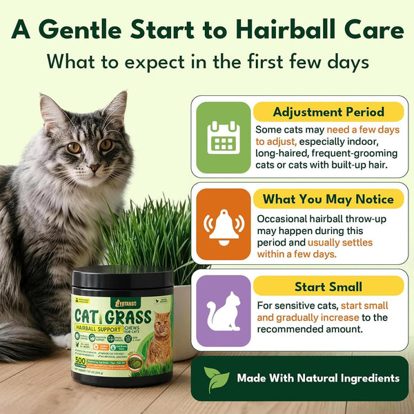Cat Grass Treats Chews, Cat Treats for Indoor Cats, 500 Hairball Treatment for Cats, Hairball Control, Feline Grass Chews with Fish Oil, Taurine & B Vitamins for Skin & Coat, Digestion & Dental Care8