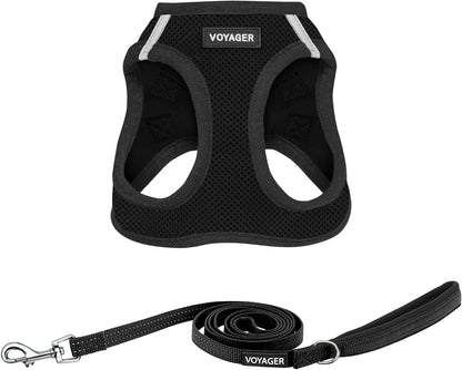 Best Pet Supplies Voyager Step-In Air All Weather Mesh Harness and Reflective Dog 5Ft Leash Combo with Neoprene Handle, for Small, Medium and Large Breed Puppies - Baby Blue, Small32