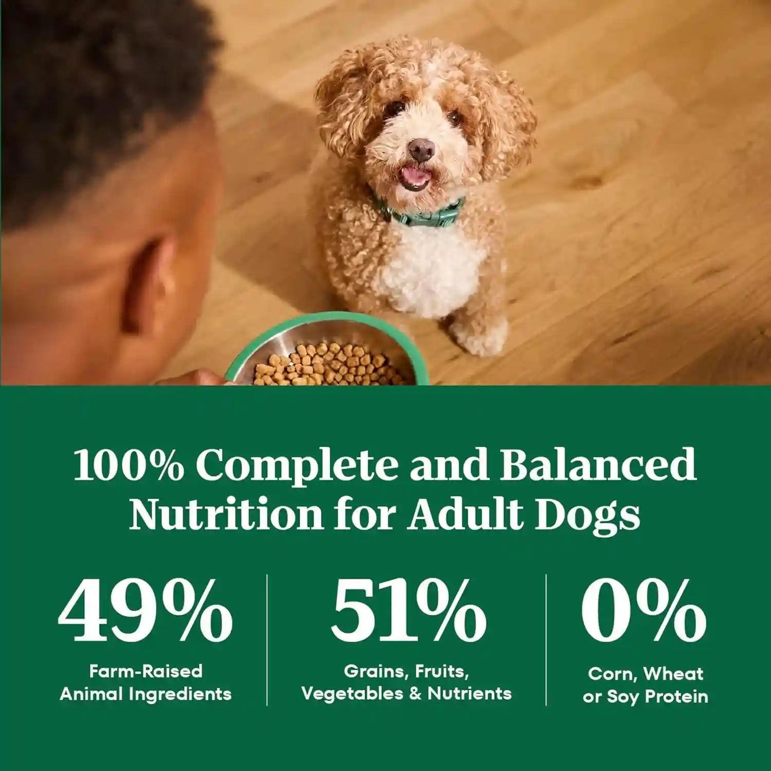 nutro-natural-choice-small-breed-dry-dog-food-chicken-rice-5-lb-non-gmo-real-chicken-1-ingredient-no-corn-wheat-soy-omega-3-6-for-soft-shiny-coat-supports-energy-bones-muscles
