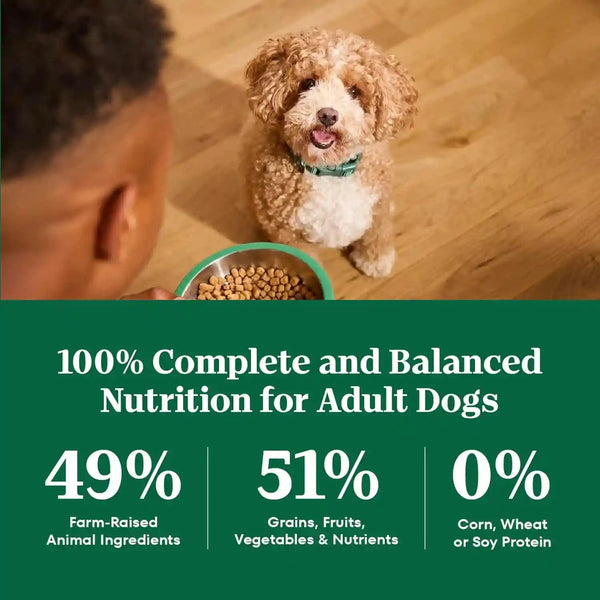 Nutro Natural Choice Small Breed Dry Dog Food, Chicken & Rice, 5 Lb | Non-Gmo, Real Chicken #1 Ingredient, No Corn, Wheat, Soy, Omega-3 & 6 for Soft Shiny Coat, Supports Energy, Bones & Muscles8