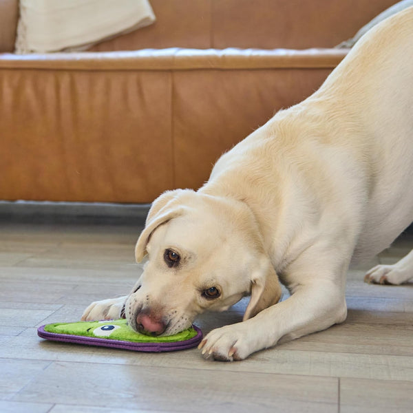 Outward Hound Tough Skinz Durable Squeaky Dog Toy with Two Tough Layers, Avocado, Green, Medium6