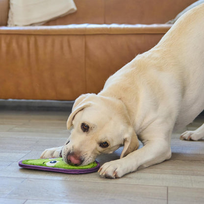 Outward Hound Tough Skinz Durable Squeaky Dog Toy with Two Tough Layers, Avocado, Green, Medium6