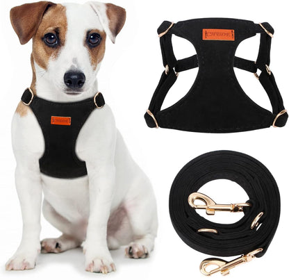 CHEDE No Pull Puppy Harness and Multifunction Dog Leash Set- 8 Colors Soft Adjustable No Choke Escape Proof Cute,Lightweight Pet Vest Harness for Small and Medium Dog…12