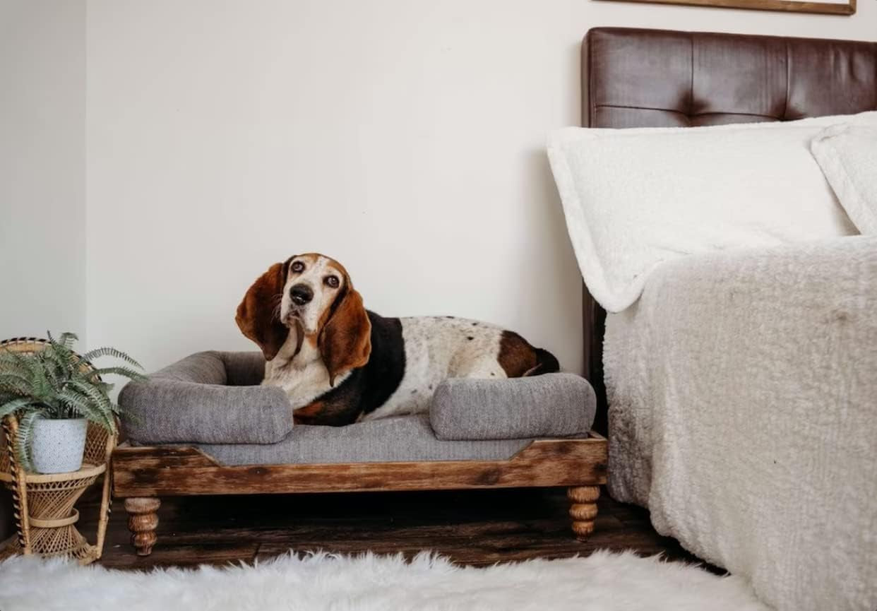 large-washed-oak-dog-bed-farm-house-style-for-dogs-50-lbs-and-under-orthopedic-memory-foam-carved-wooden-legs-luxury-pet-sofa