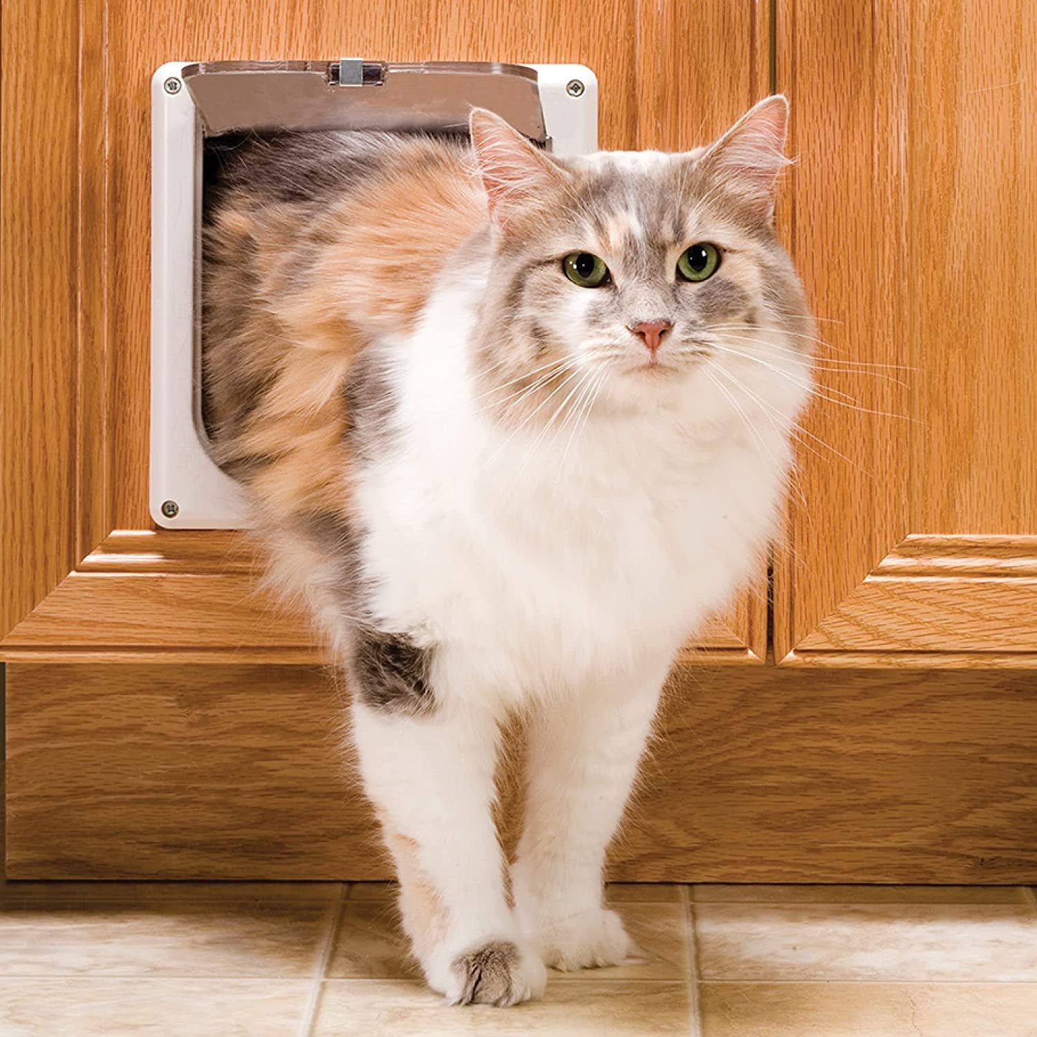 petsafe-interior-cat-door-2-way-lock-white-cats-up-to-15-lb-high-impact-frame-with-transparent-flap-fits-interior-doors-hardware-and-template-included