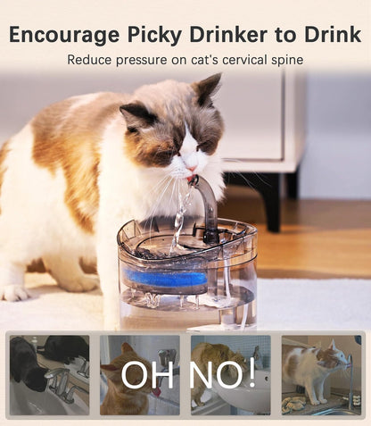 HAPUP Cat Water Fountain Animal Water Dispenser 61OZ/1.8L Automatic Pet Drinking Fountain Clear Upgrade with 2 Filter Replacement 1 Adjustable Silent 1 Water Pump for Cats Kitty Indoor7