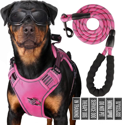 Service Dog Tactical Vest Harness and Leash Set Large Sized Dog Emotional Support- Tactical Dog Harness Training Collar with Name (Black, L)9