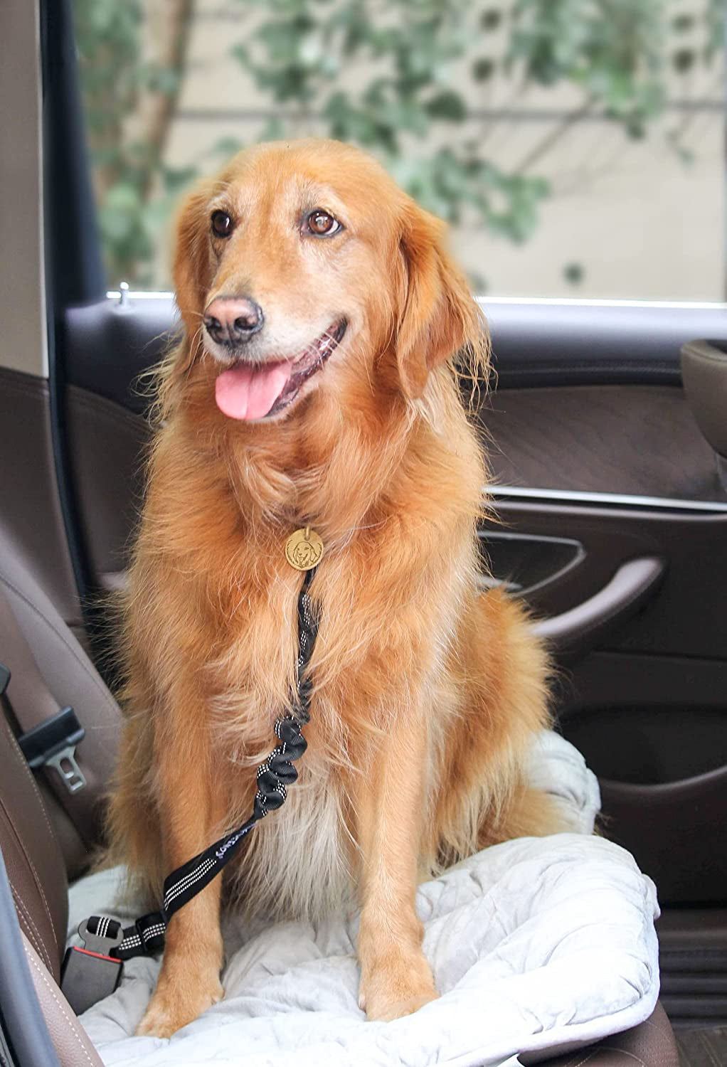 2-pack-dog-seat-belt-adjustable-dog-car-seatbelts-for-vehicle-nylon-pet-safety-seat-belt-with-elastic-bungee-buffer-reflective-durable-car-harness-for-dogs