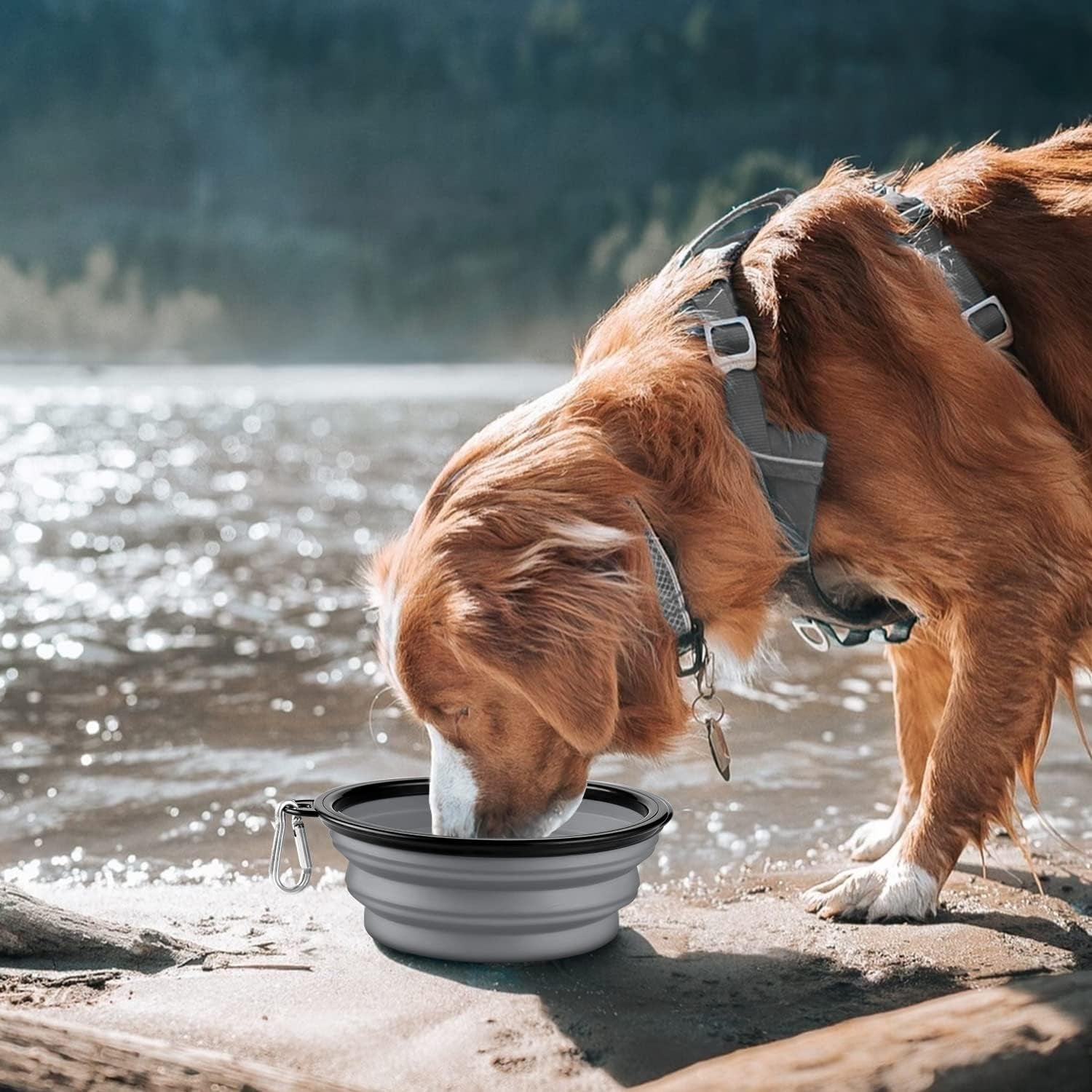 cooyoo-collapsible-dog-bowl-2-pack-collapsible-dog-water-bowls-for-cats-dogs-portable-pet-feeding-watering-dish-for-walking-parking-traveling-with-2-carabiners