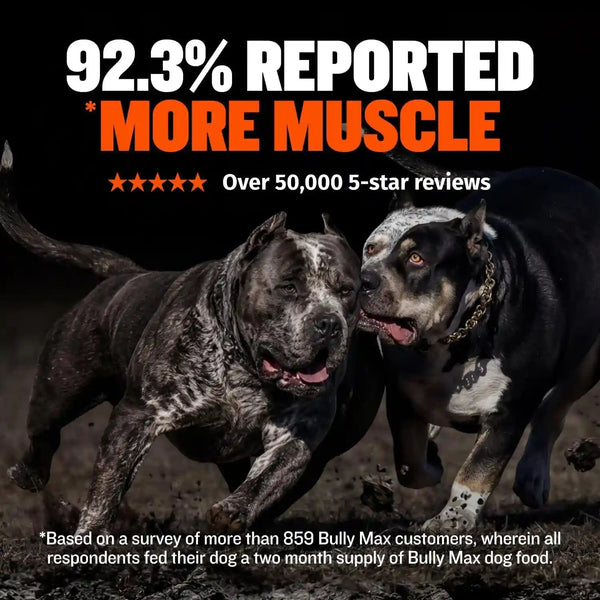 Bully Max Dry Dog Food for Adults & Puppies - High Protein & Fat for Muscle & Weight Gain - High Performance Dog Food Supplements - Small & Large Breed Dogs (535 Calories per Cup), Chicken, 15Lb Bag5