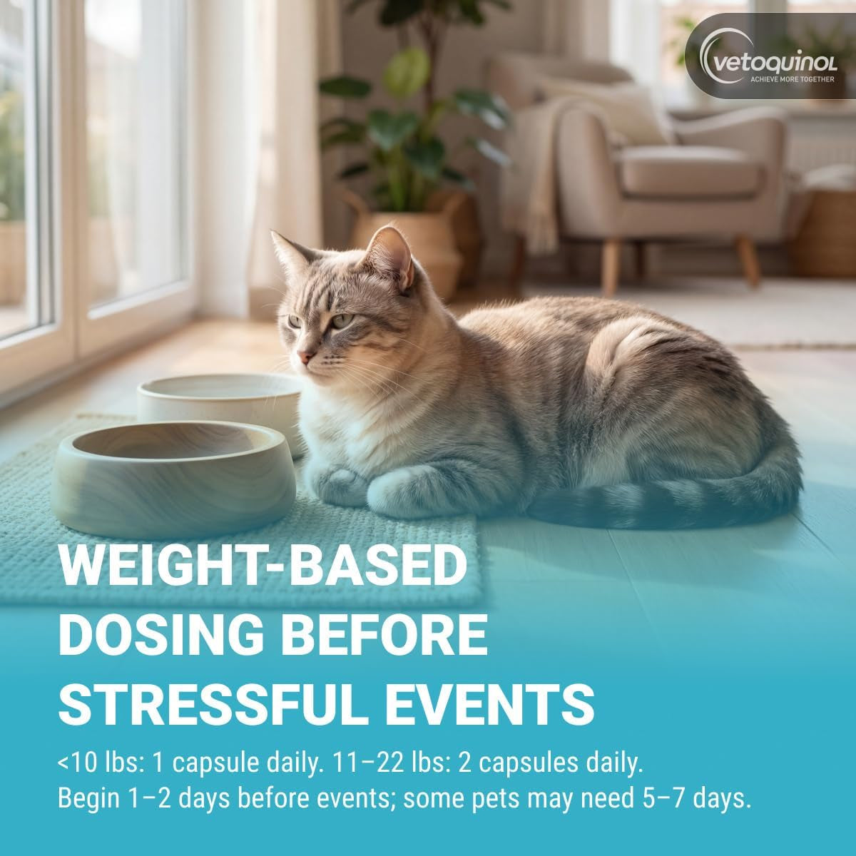 vetoquinol-zylkene-calming-oral-capsule-for-small-cats-dogs-11-22-lb-for-behavior-occasional-anxiety-perfect-for-boarding-vet-visits-celebrations-non-drowsy-lactose-free-30-capsules