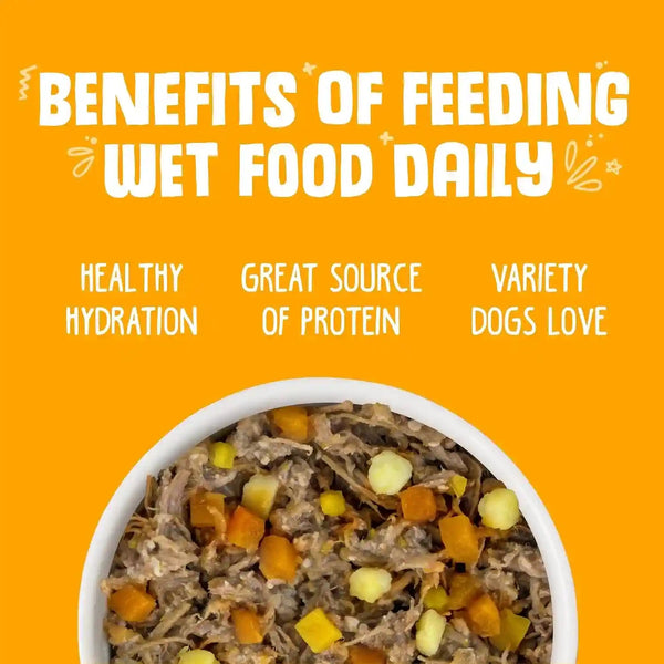 Weruva Classic Dog Food, Variety Pack, Baron'S Batch, Wet Dog Food, 14Oz Cans (Pack of 12)6