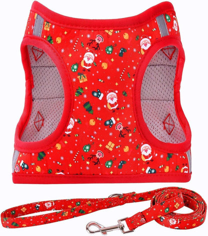 Step in Dog Harness Leash Set- All Weather Reflective No-Pull Floral Pattern Padded Mesh Vest Harness for Cats Puppy Extra-Small Small Medium Large Dogs - Pink Flower - S10