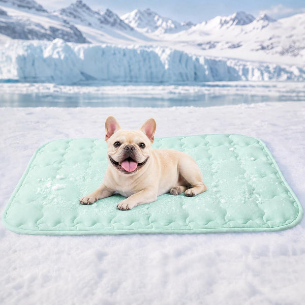 Luciphia Dog Cooling Mat, Q-MAX>0.5 Non-Slip Self-Cooling Pad for Pets | Elastic Support, Joint Protection; Q-MAX>0.5 Instant Cooling Needs No Power; Non-Slip Washable Dog Bed; Light Blue 20X309