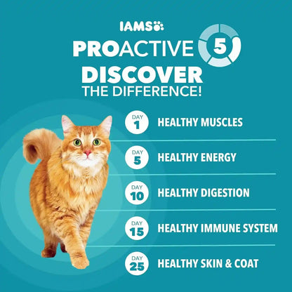 IAMS Proactive Health Indoor Dry Cat Food, Chicken & Turkey, 7 Lb | Vet-Recommended, Real Chicken #1 Ingredient, Proprietary Fiber Blend, Prebiotics for Healthy Digestion, Hairball Control5