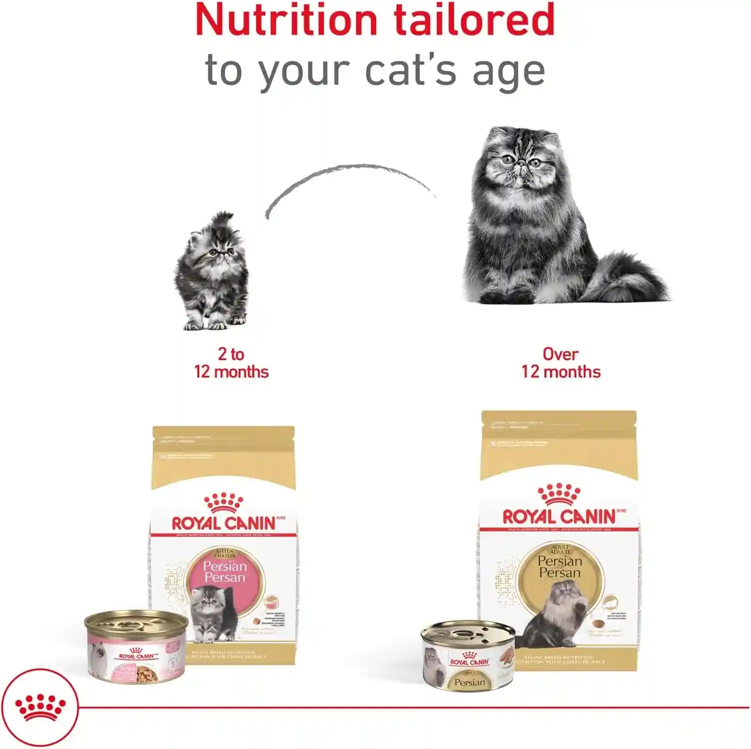 royal-canin-feline-breed-nutrition-persian-adult-dry-cat-food-7-lb-bag-tailored-nutrition-for-persian-cats-specialized-kibble-shape-supports-healthy-coat-ideal-for-adult-cats