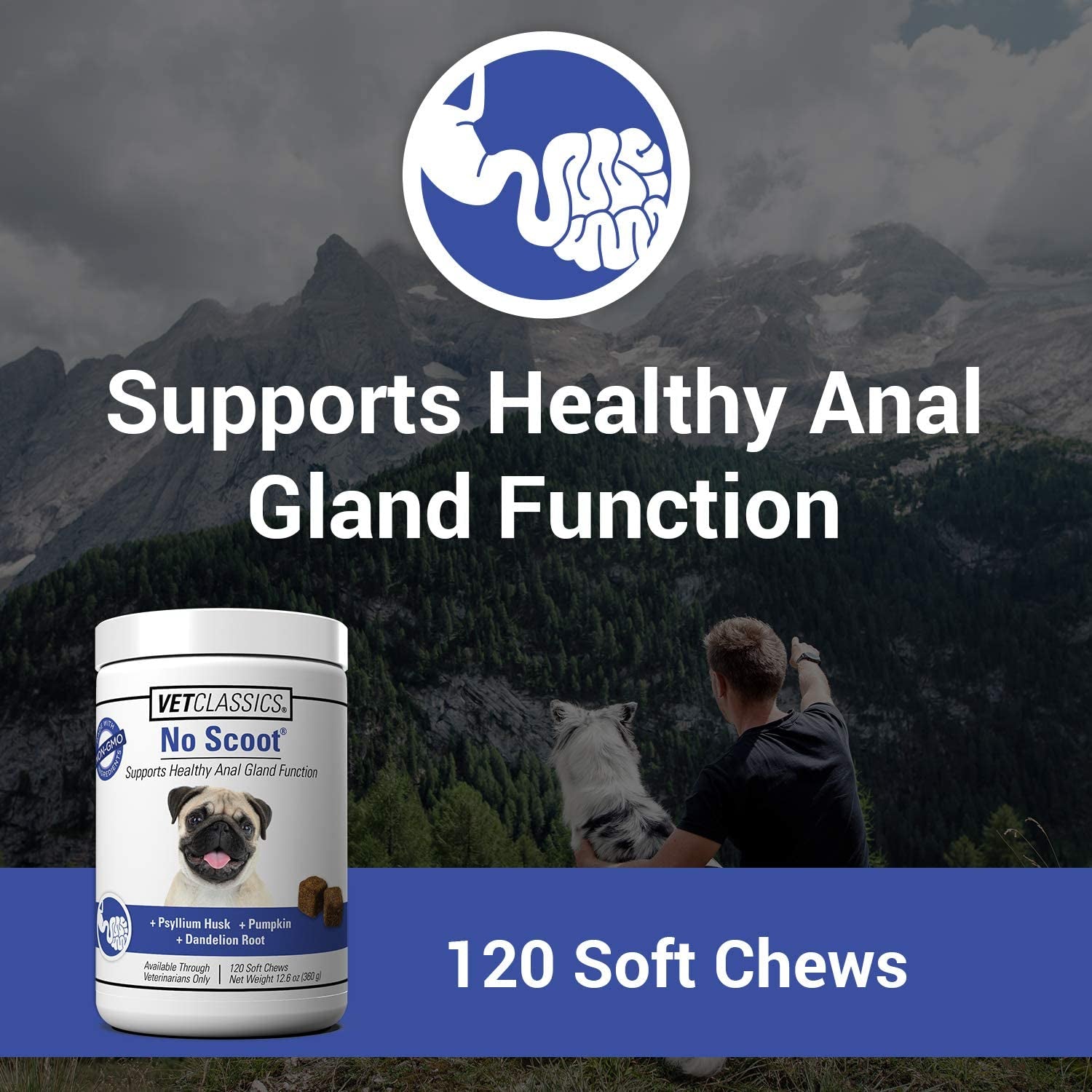 no-scoot-for-dogs-healthy-anal-support-120-soft-chews-no-scoot-chews-for-dogs-supports-healthy-gland-function-normal-bowel-functions-increases-daily-fiber-intake