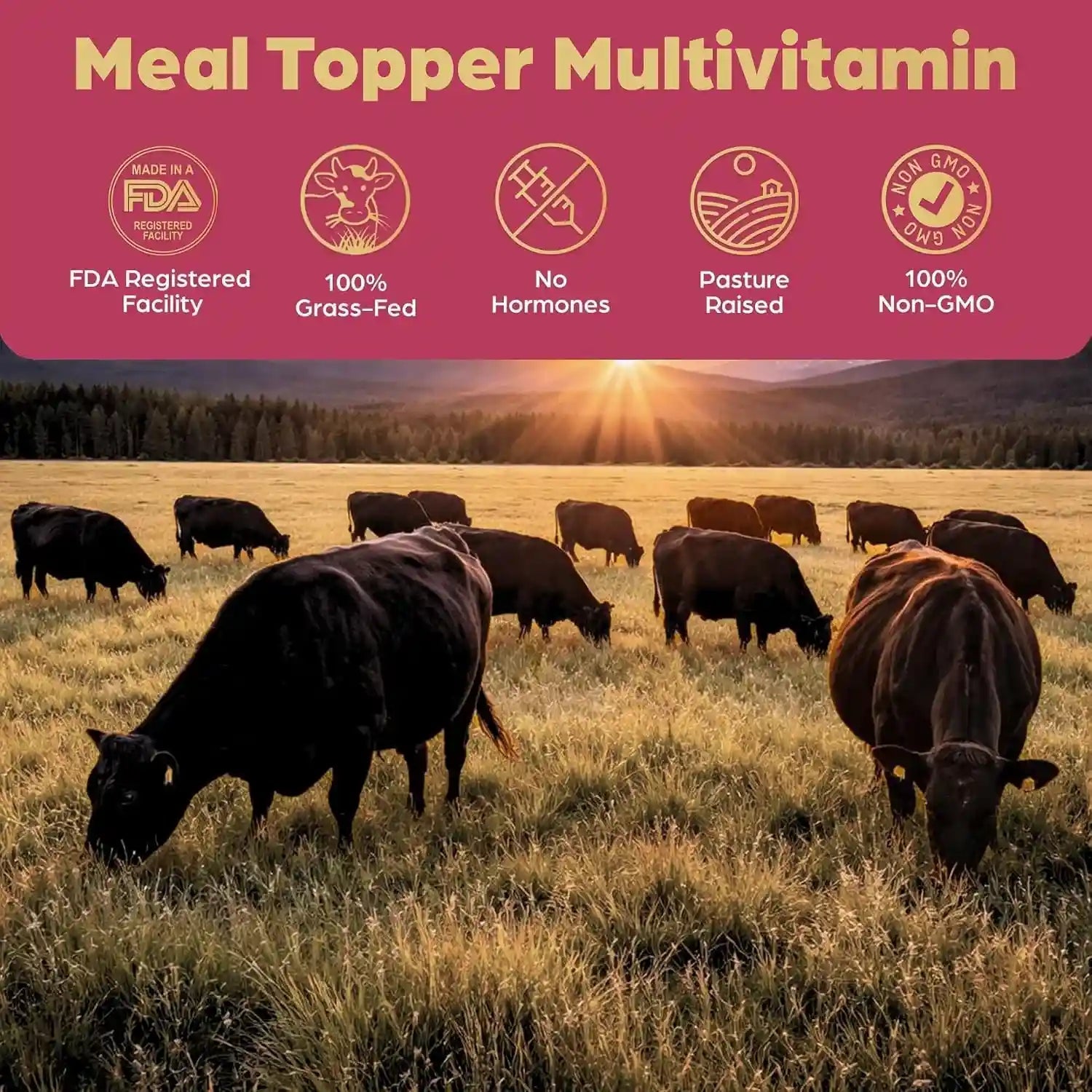 beef-organ-bone-broth-meal-topper-for-dogs-100-grass-fed-veterinarian-approved-non-gmo-by-brothhh-supports-immunity-joint-heart-health-vision-vitality-no-fillers-pet-supplement