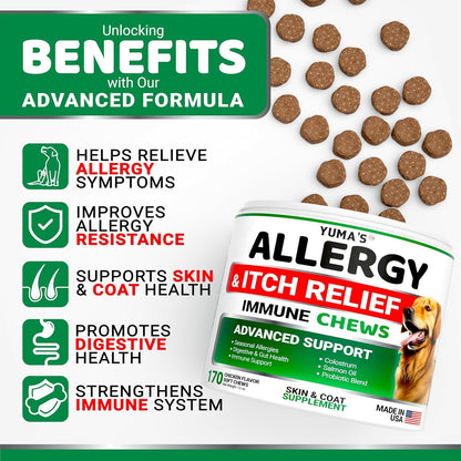 Dog Allergy Relief Chews - Dog Itching Skin Relief Treatment Pills - 170 Treats - Anti-Itch Chewables - Itchy and Paw Licking - Hot Spots - Omega 3 Fish Oil - Dry Skin & Coat Supplement2