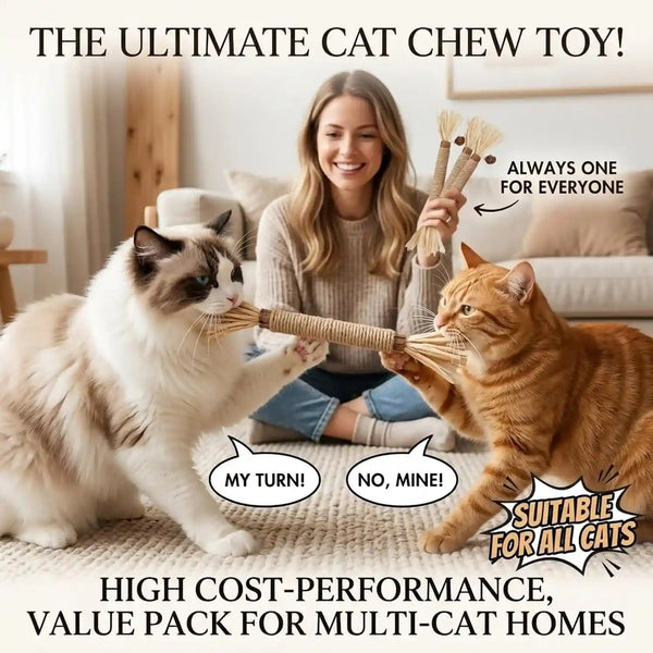 3 Pack Silvervine Cat Chew Sticks - Natural Kitten Toy for Cats6