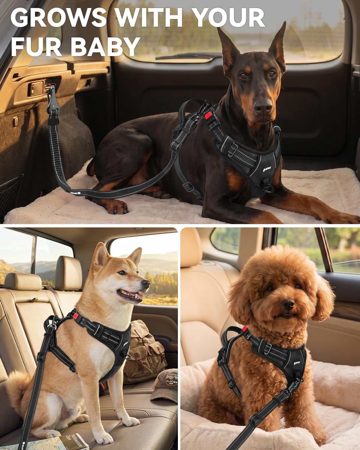 joytale-3-in-1-bungee-dog-seat-belt-for-car-medium-and-large-dogs-black-seatbelt-buckle-latch-cargo-hook-shock-absorbing-360-swivel-slide-to-lock-zinc-buckle-for-distraction-free-driving
