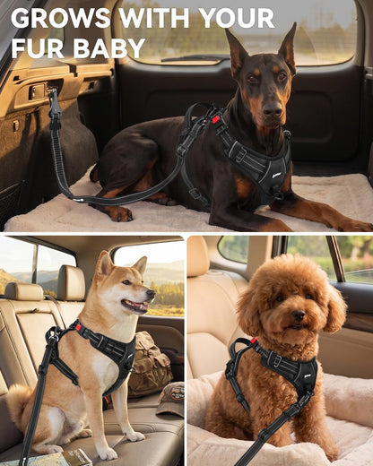Joytale 3-In-1 Bungee Dog Seat Belt for Car, Medium and Large Dogs, Black | Seatbelt Buckle, LATCH, Cargo Hook, Shock-Absorbing, 360° Swivel Slide-To-Lock Zinc Buckle, for Distraction-Free Driving6
